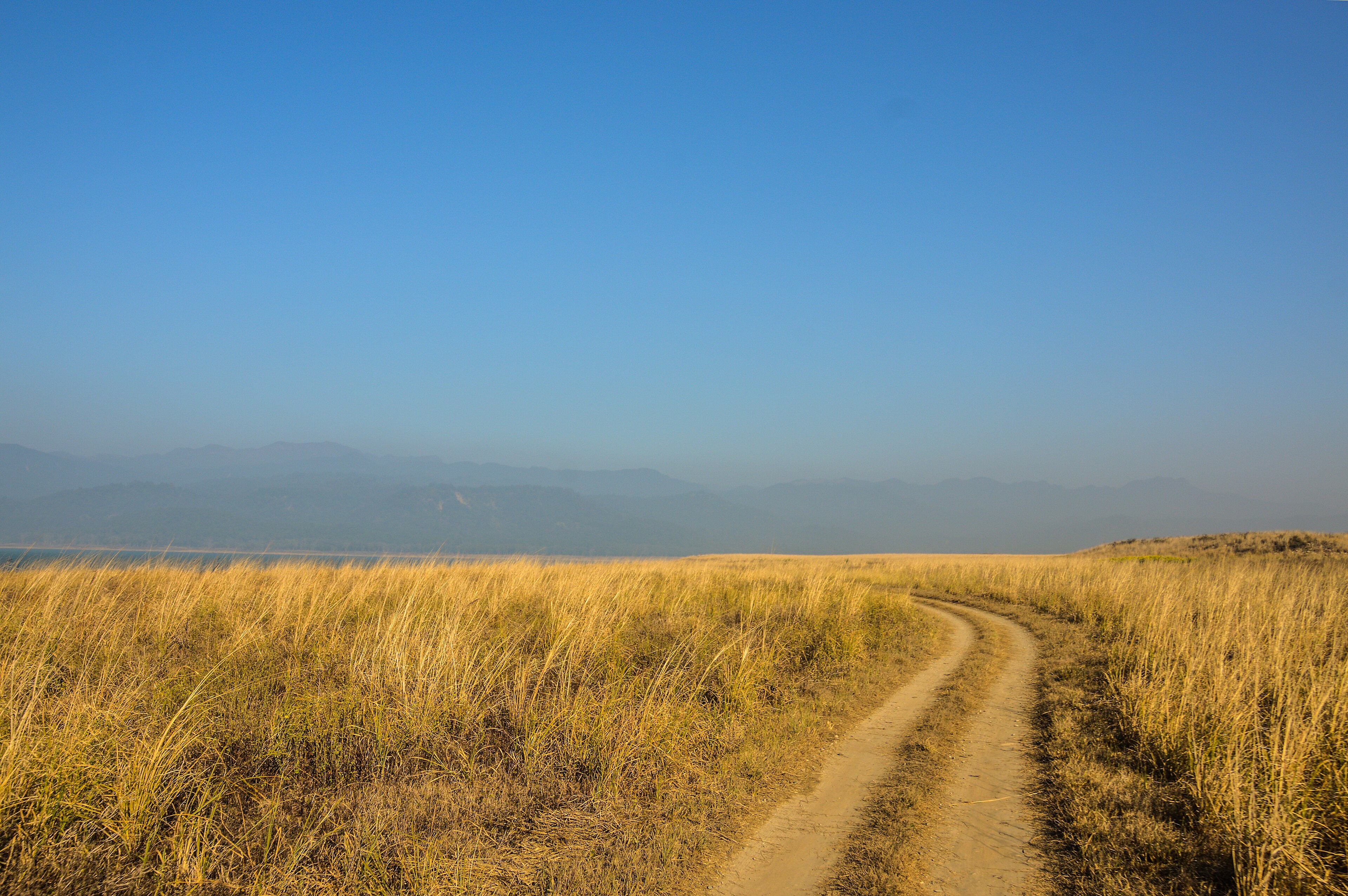 Corbett Dhikala Forest Rest House Core Expedition
