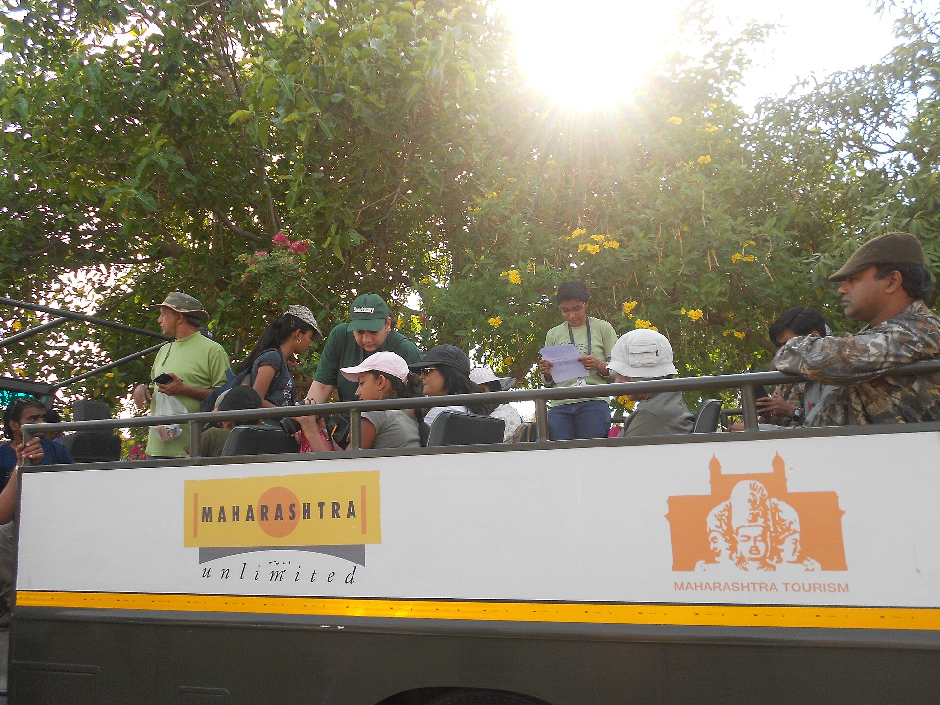 Open Forest 20-Seater Safari Canter