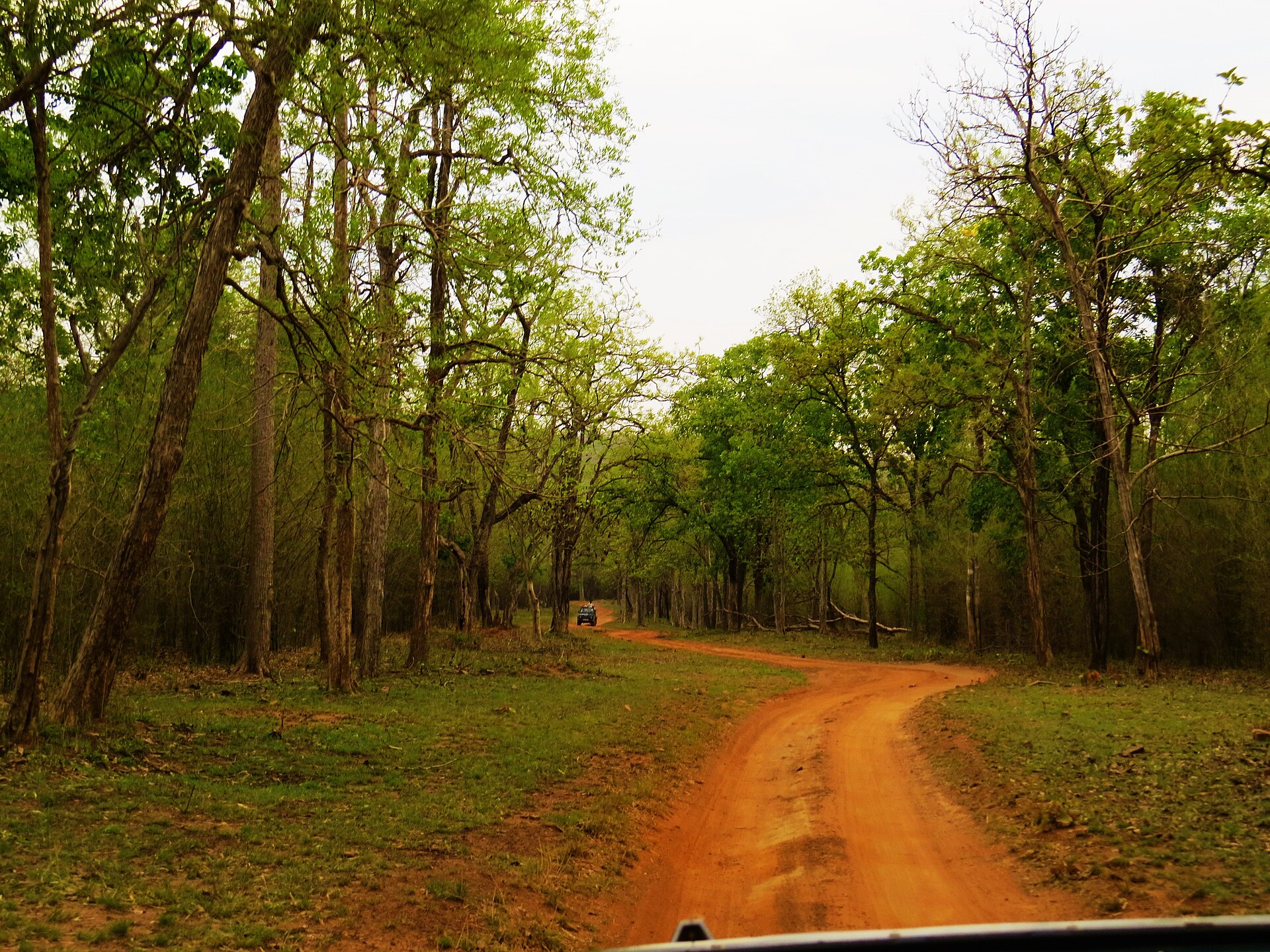 Dawn Game Drive in 4x4 Gypsy